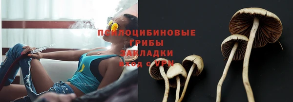 гидра Баксан