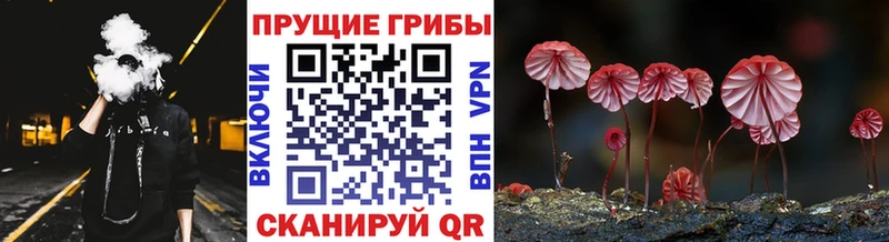 Псилоцибиновые грибы мухоморы  Ессентуки 